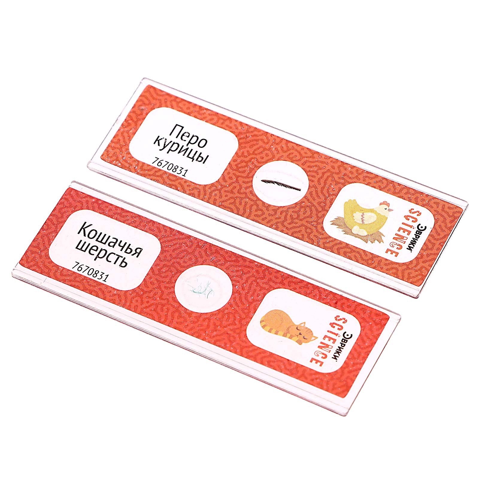 Набор препаратов Эврики Животные - фото 7