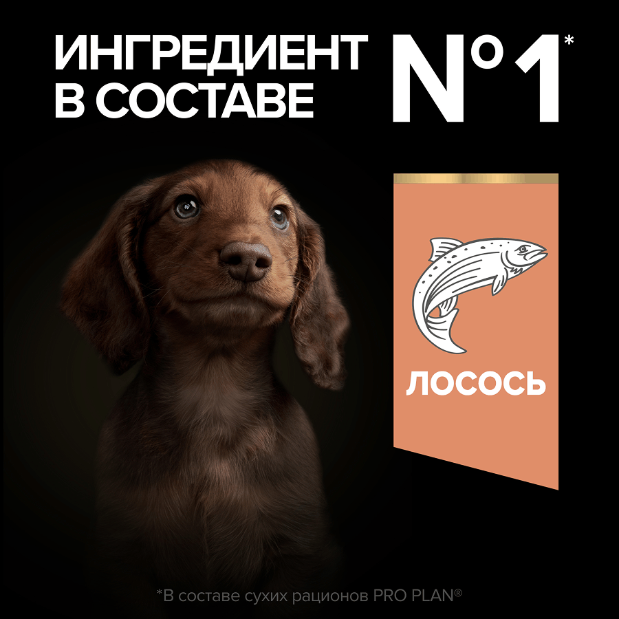 Корм для щенков сухой PRO PLAN Sensitive Skin для мелких пород с чувствительной кожей с лососем 700г - фото 6
