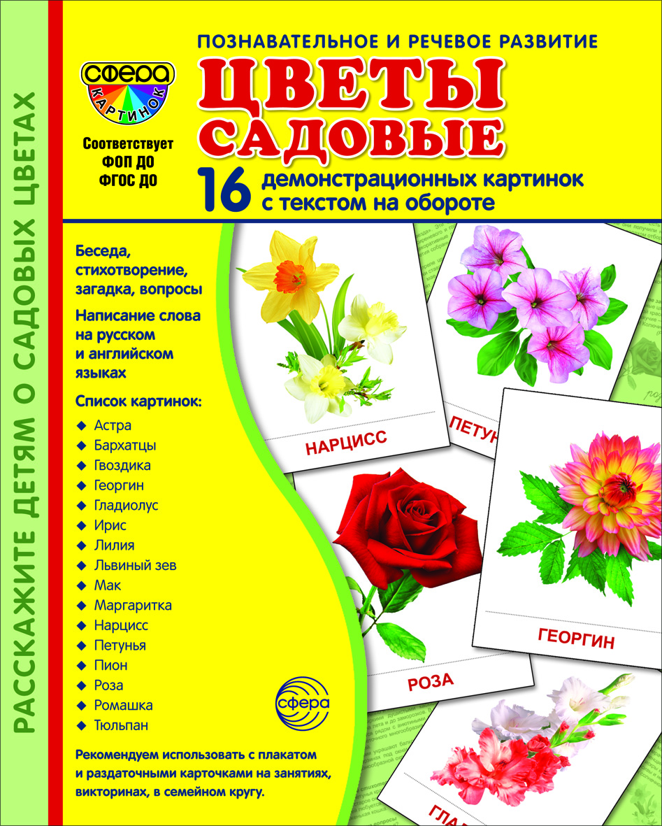 Карточки ТЦ Сфера Демонстрационные картинки - фото 2