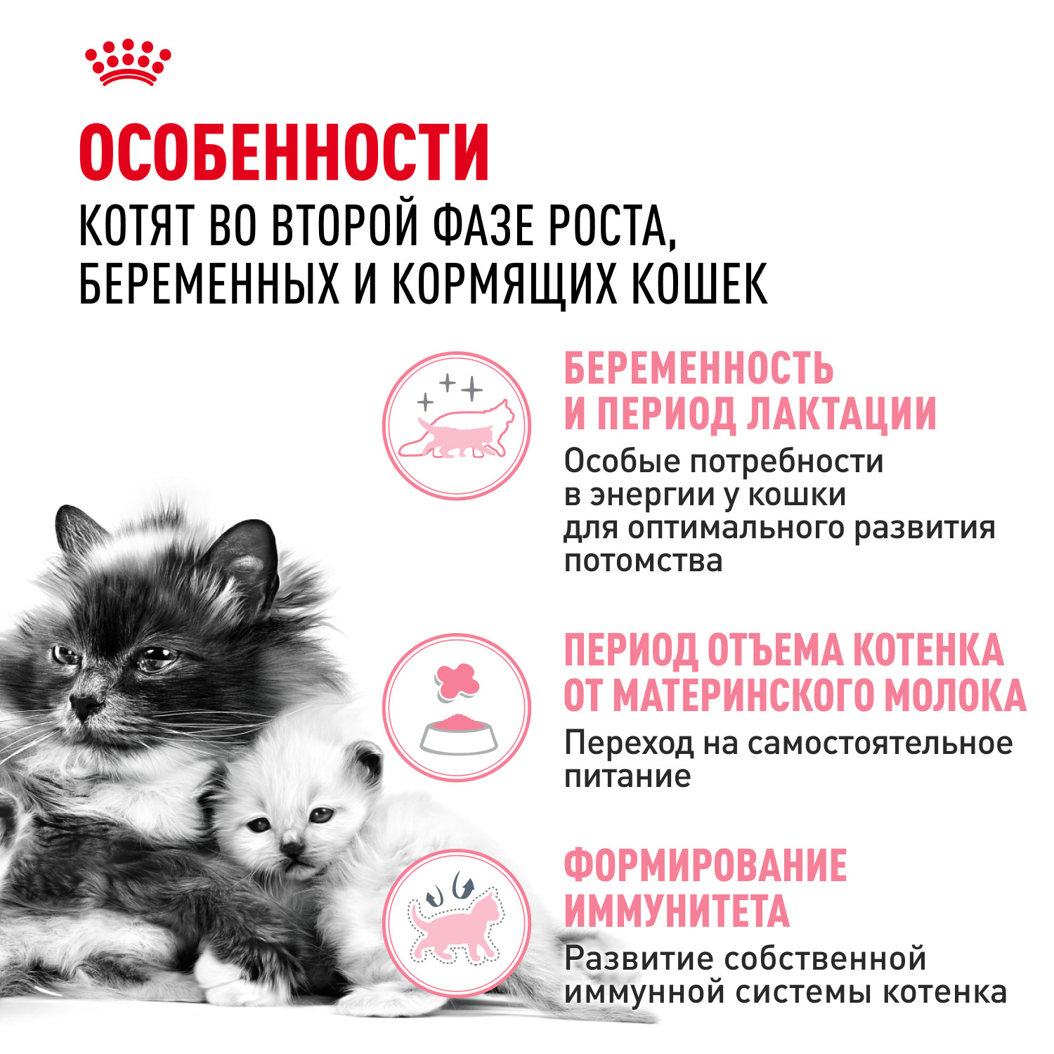 Корм сухой для котят ROYAL CANIN Mother and Babycat 4кг - фото 2