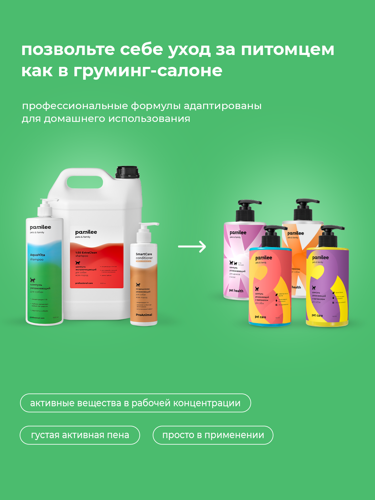 Шампунь для собак и кошек Pamilee антипаразитарный от блох и клещей - фото 6