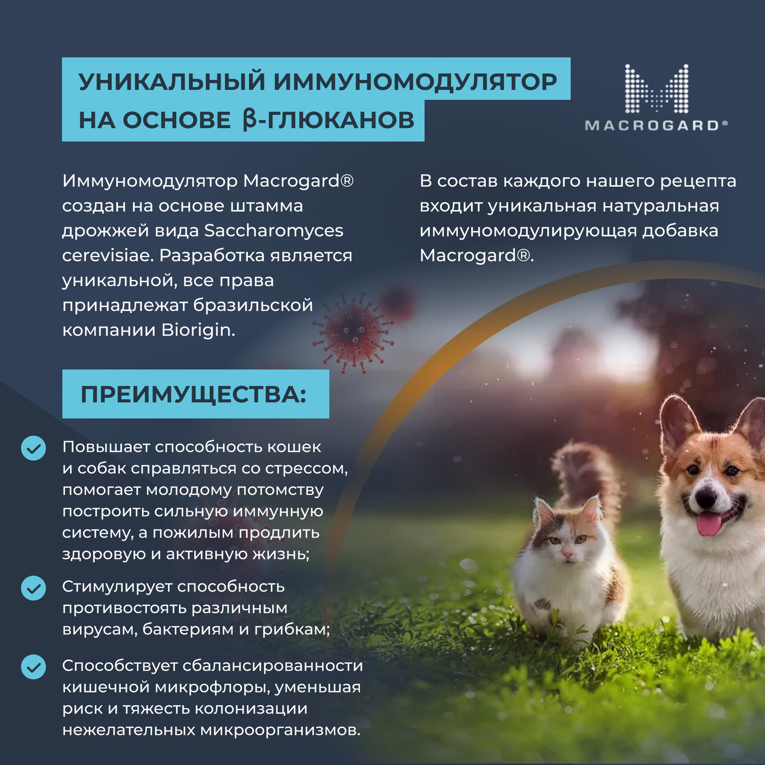 Корм для собак Mr.Buffalo Puppy Junior всех пород с индейкой сухой 2кг - фото 9