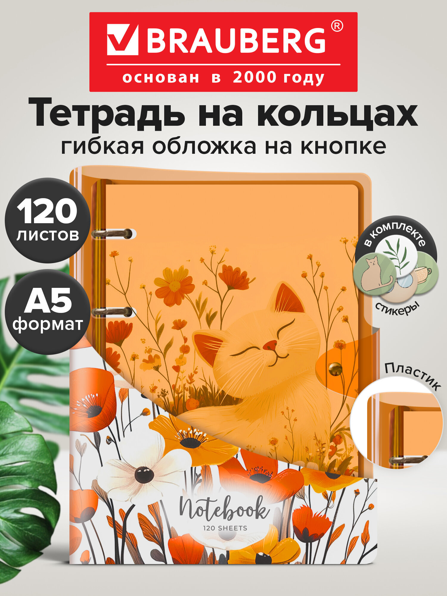 Тетрадь со сменным блоком Brauberg клетка 120 лист. - фото 1