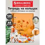 Тетрадь со сменным блоком Brauberg клетка 120 лист.