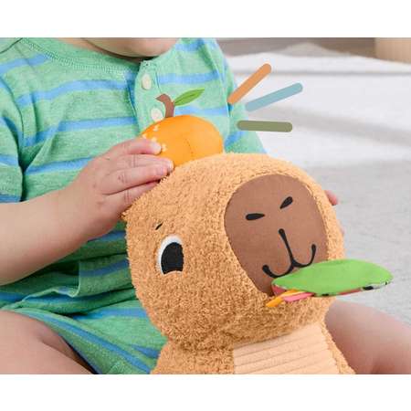 Прорезыватель Fisher Price Snuggly Капибара