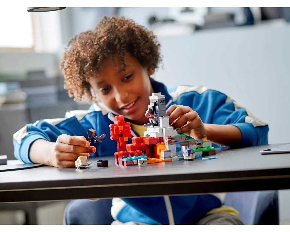 Конструктор LEGO Minecraft 21172 305 дет. - фото 11