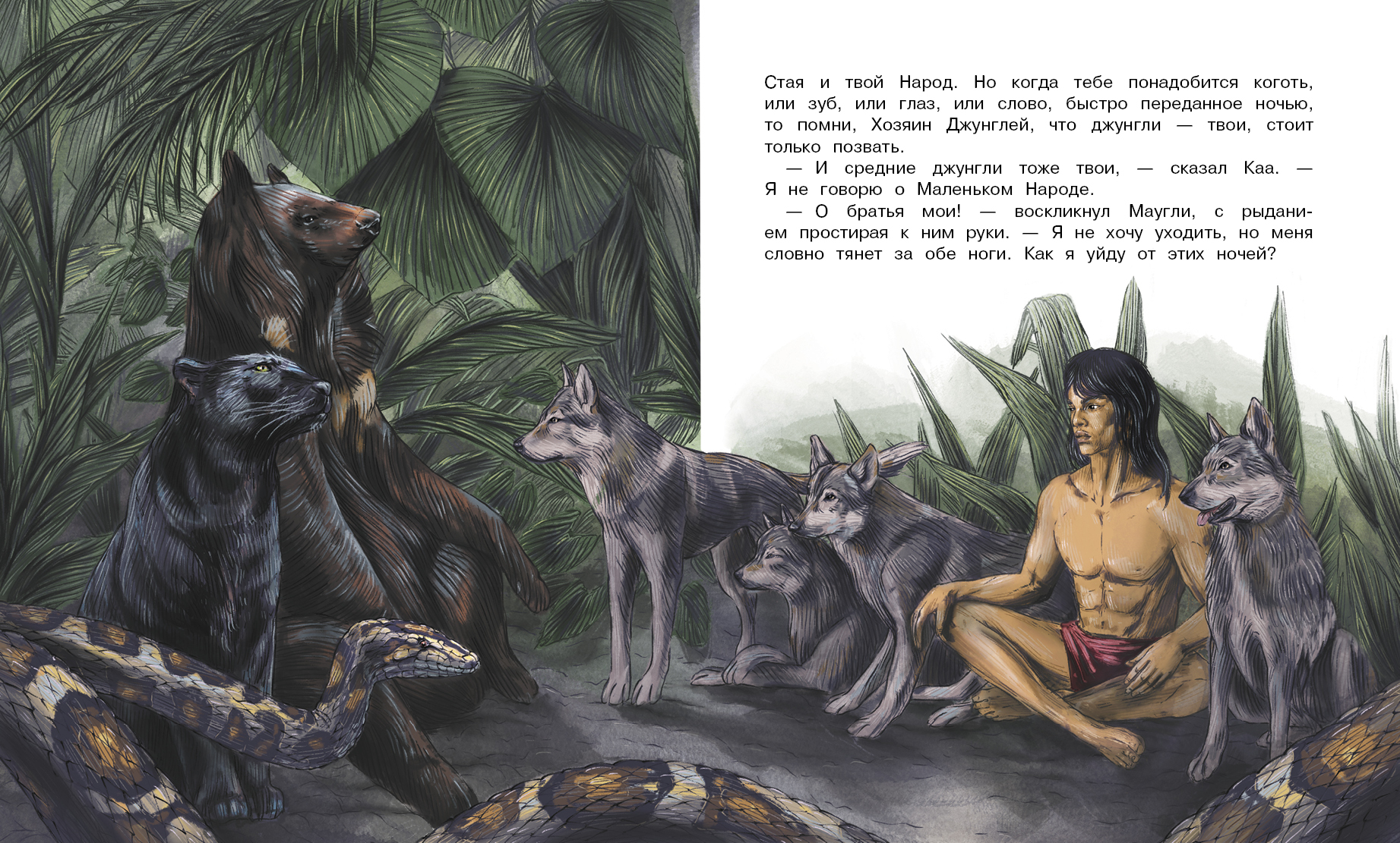 Книга СТРЕКОЗА Маугли - фото 5