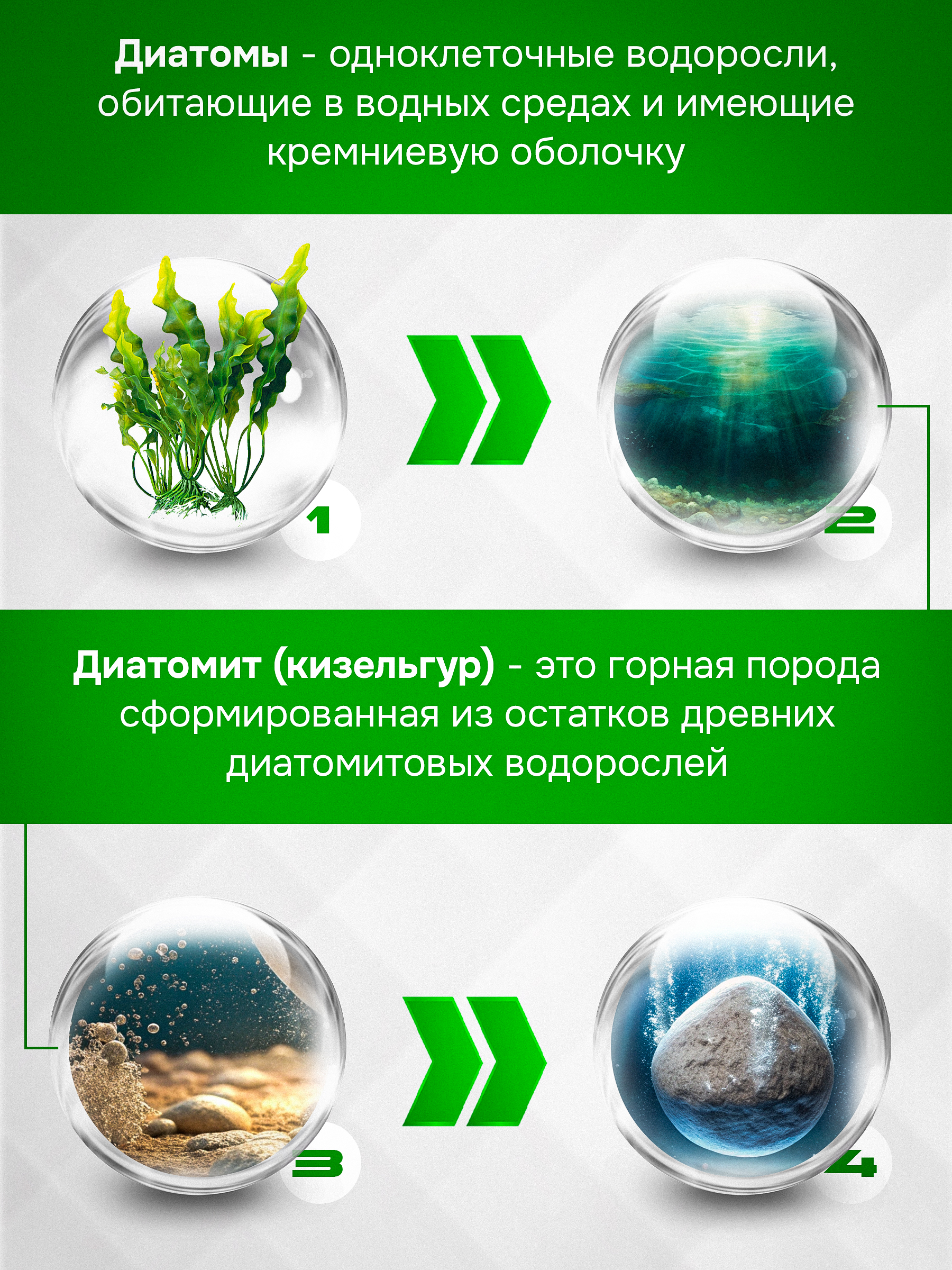 Диатомит пищевой сорбент для детокса Здравлидер для очистки организма банка 200г - фото 12