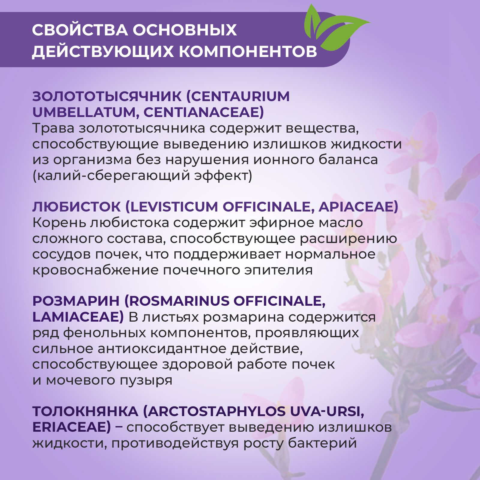 Биологически активная добавка Consumed Комплекс для мочевыводящих путей и почек 60 таблеток - фото 4