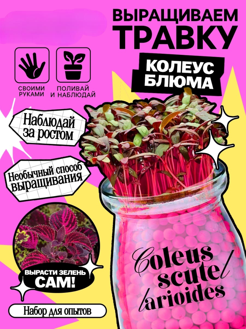 Изображение товара Набор для творчества Эврики