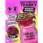 Набор для творчества Эврики