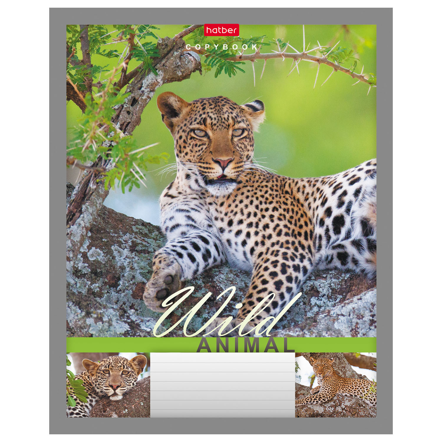 Тетрадь Hatber линейка 24 лист. - фото 4