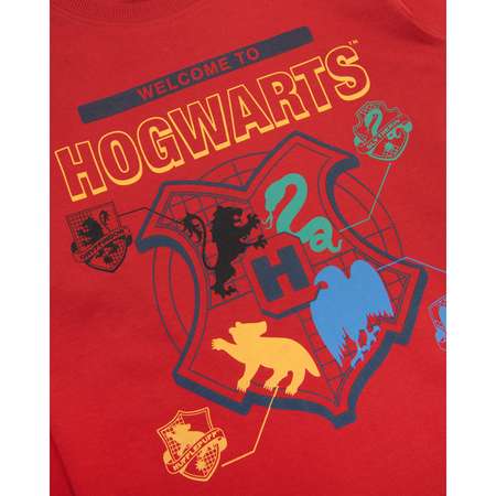 Лонгслив Harry Potter