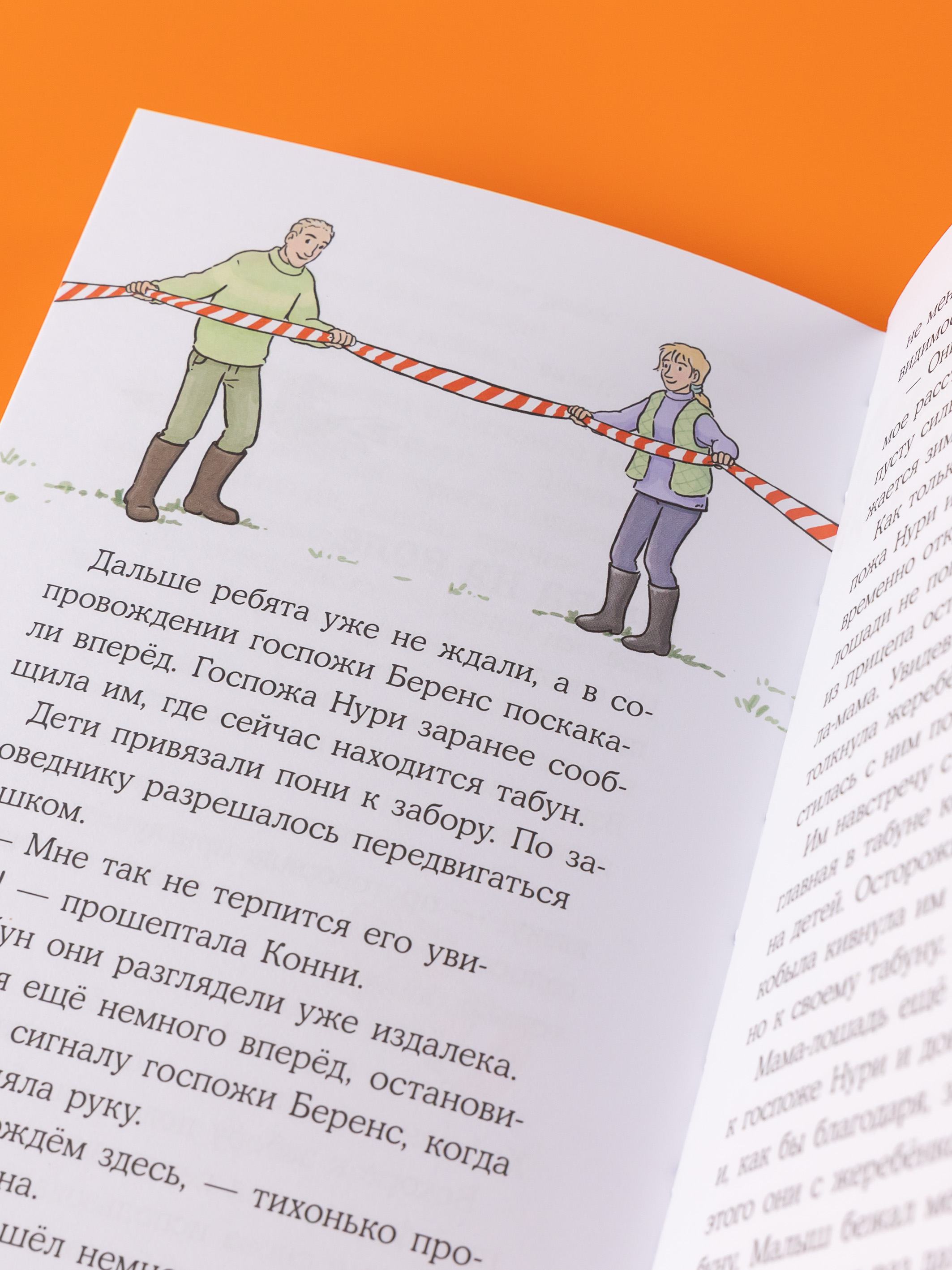 Книга Альпина. Дети Конни и спасение диких лошадей - фото 5