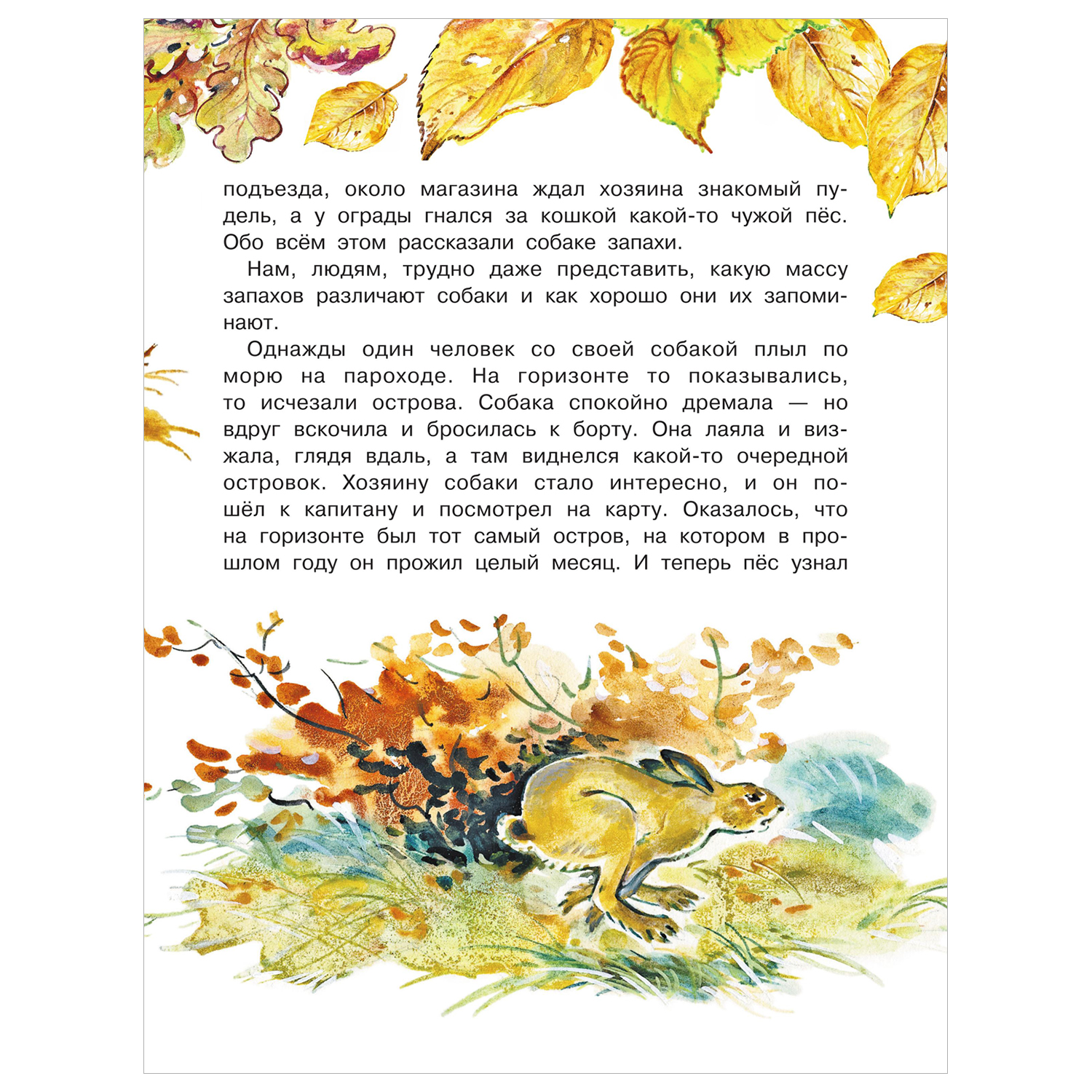 Книга Для чего коту усы - фото 5