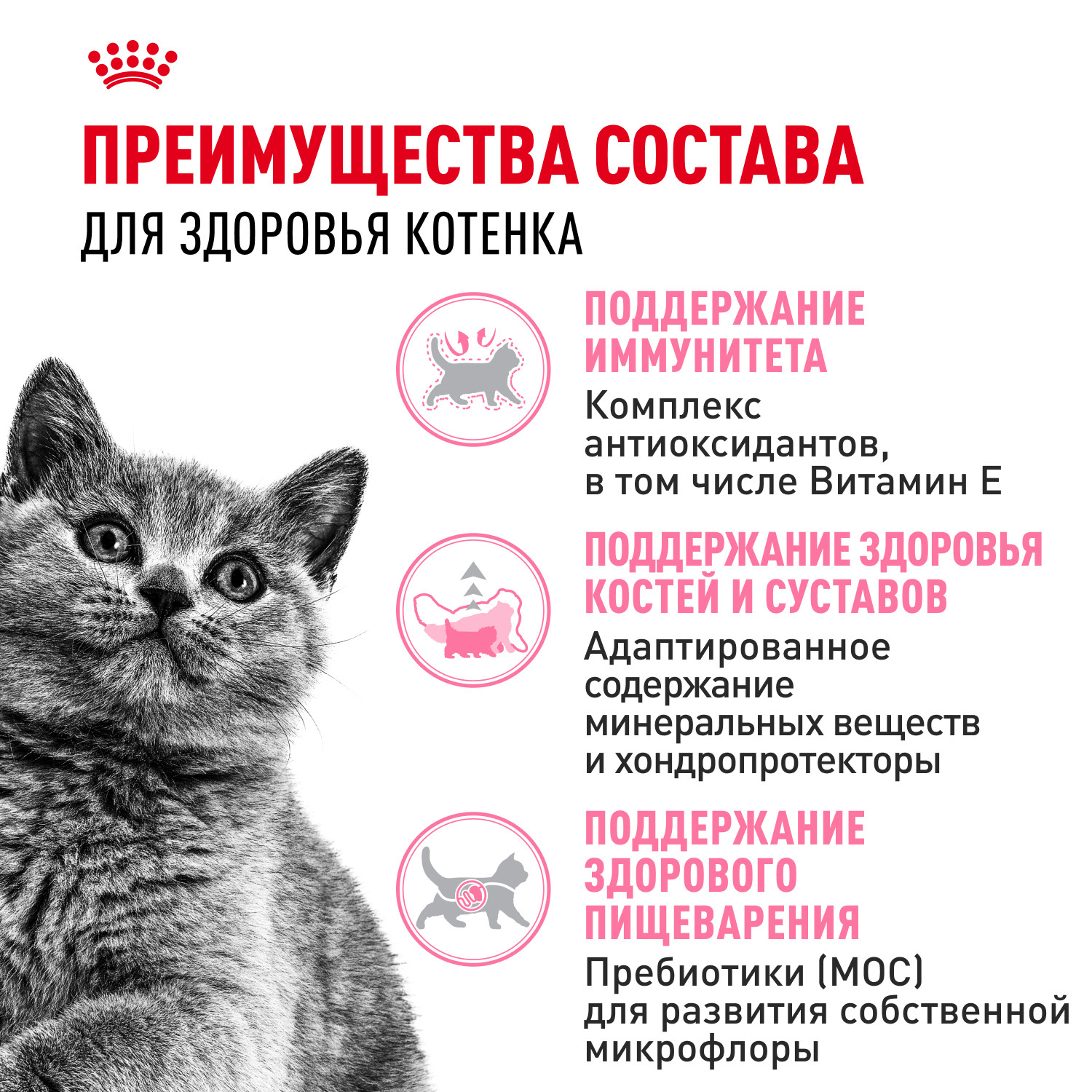 Корм сухой для котят ROYAL CANIN British Shorthair 400г породы британской короткошерстной - фото 3