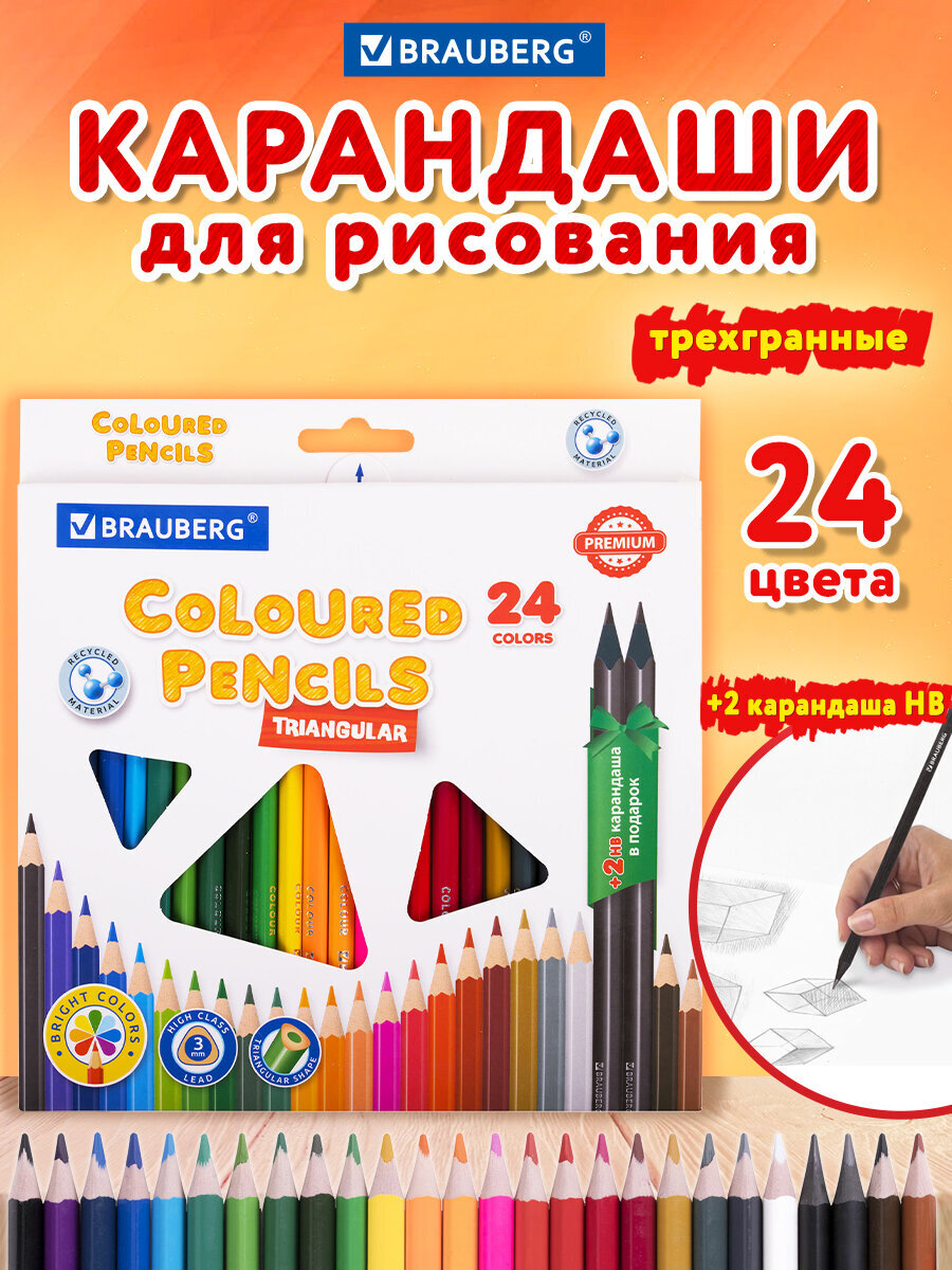 Карандаши цветные Brauberg 26 шт. - фото 1