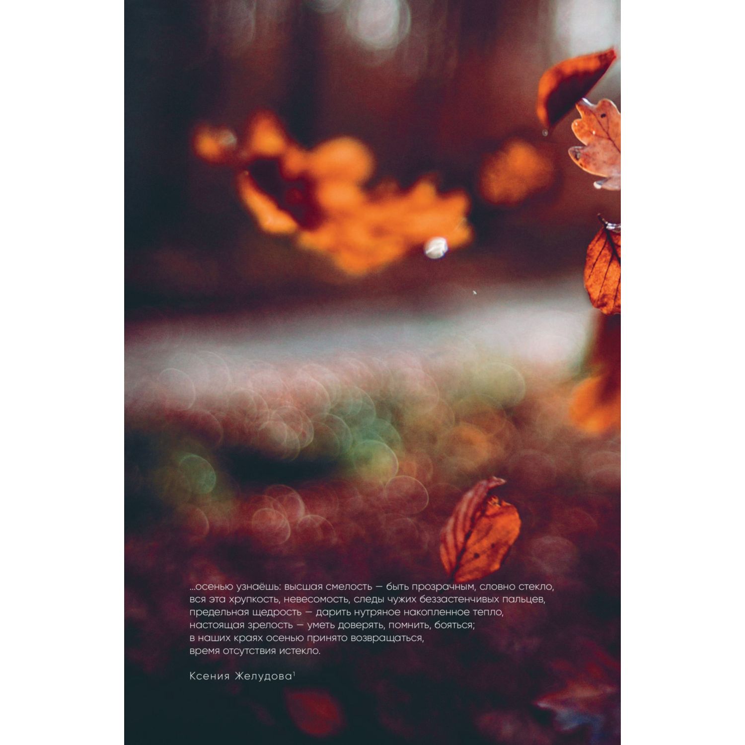Книга БОМБОРА К себе нежно - фото 8
