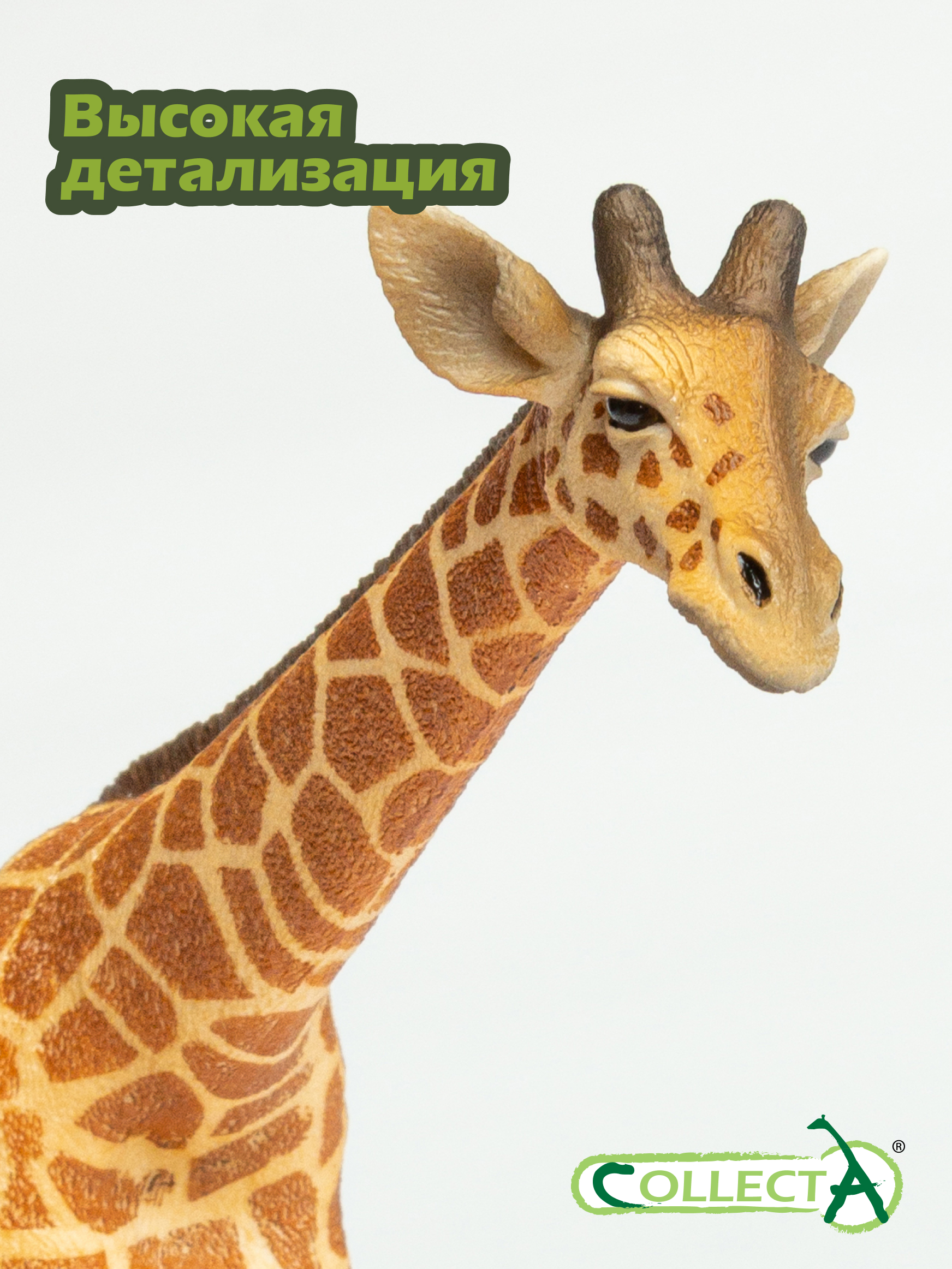Фигурка Collecta Сетчатый жираф - фото 3