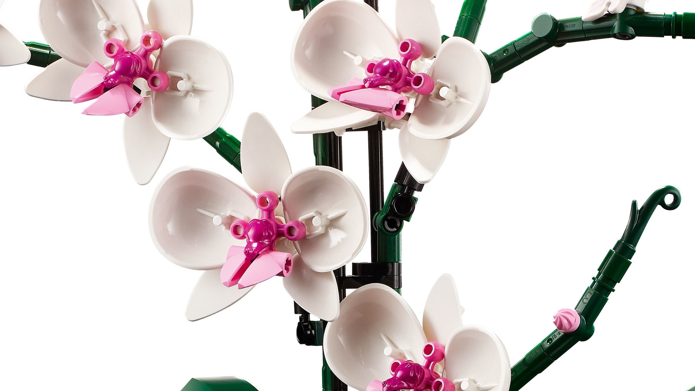 Конструктор LEGO Botanicals 10311 608 дет. - фото 3