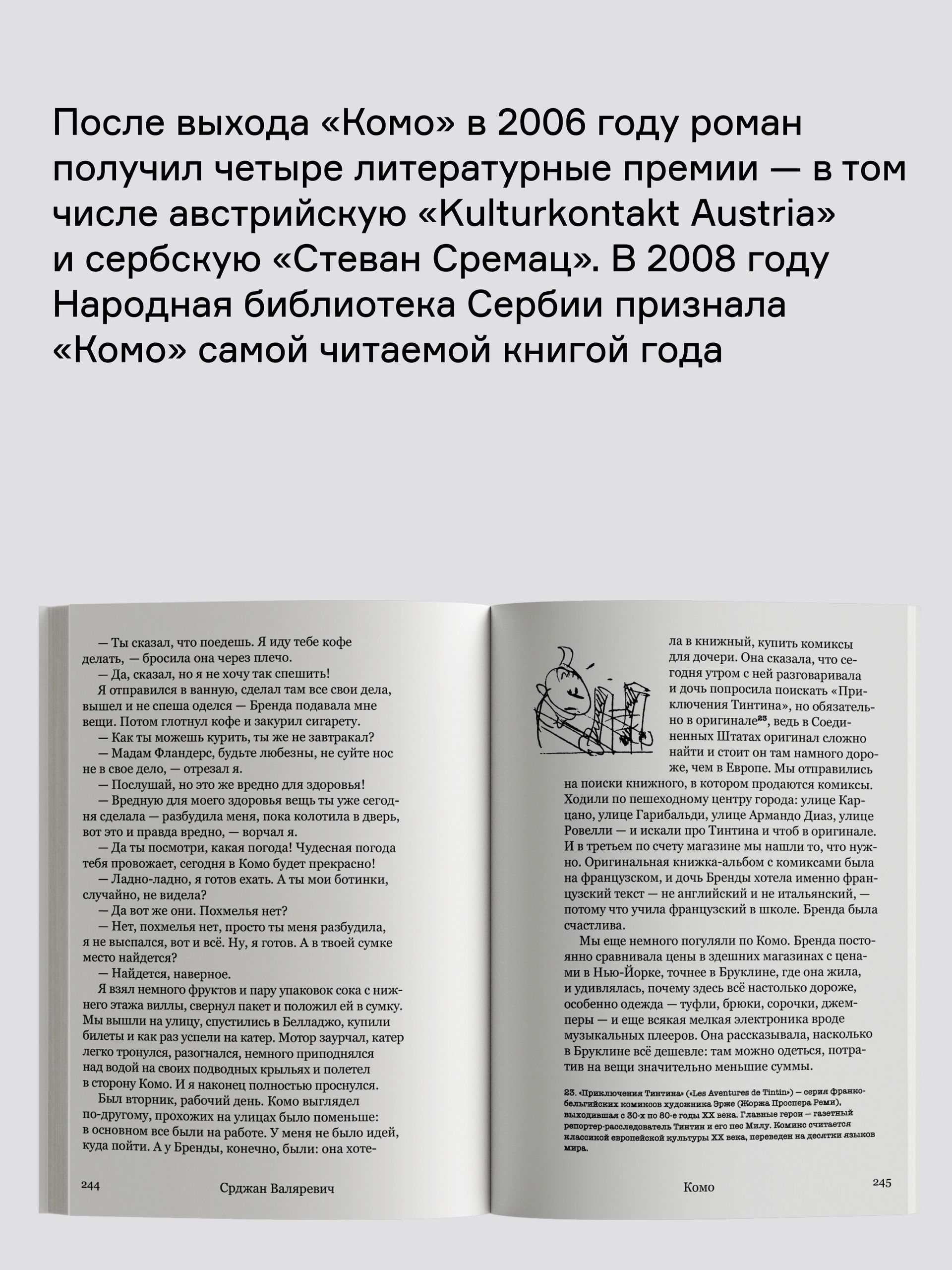 Книга Ad Marginem Комо - фото 9