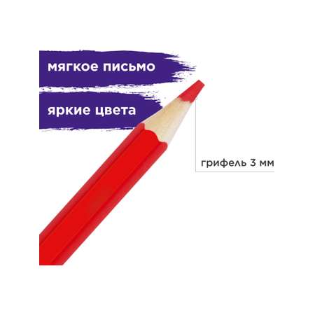 Карандаши акварельные Brauberg 12 шт.