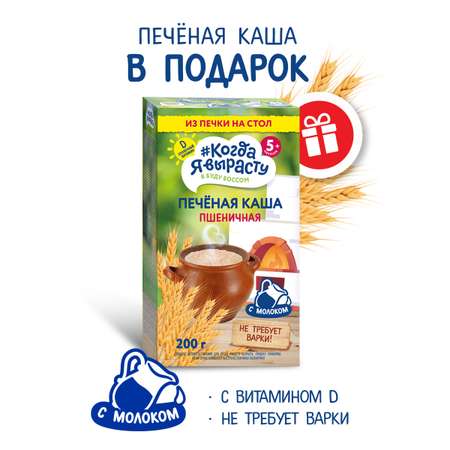 Смесь сухая Когда Я вырасту ВКУСНЯШКА от 1 года манго 300г и КОГДА Я ВЫРАСТУ Каша печёная пшеничная с 5 мес 200гр