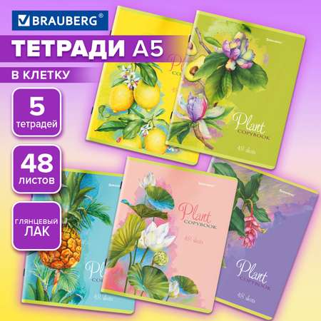Общая тетрадь Brauberg клетка 48 лист. 5 шт.