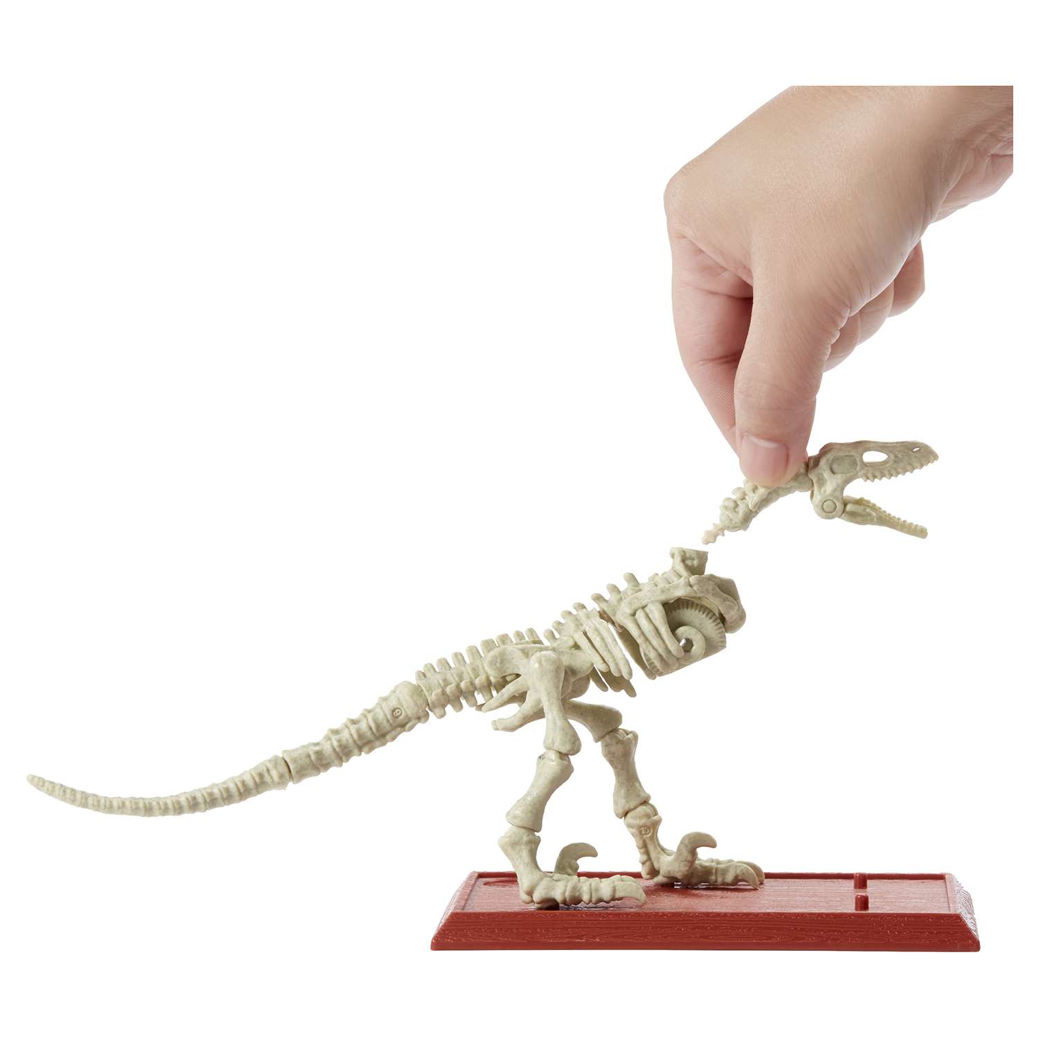 Наглядное пособие Jurassic World - фото 6