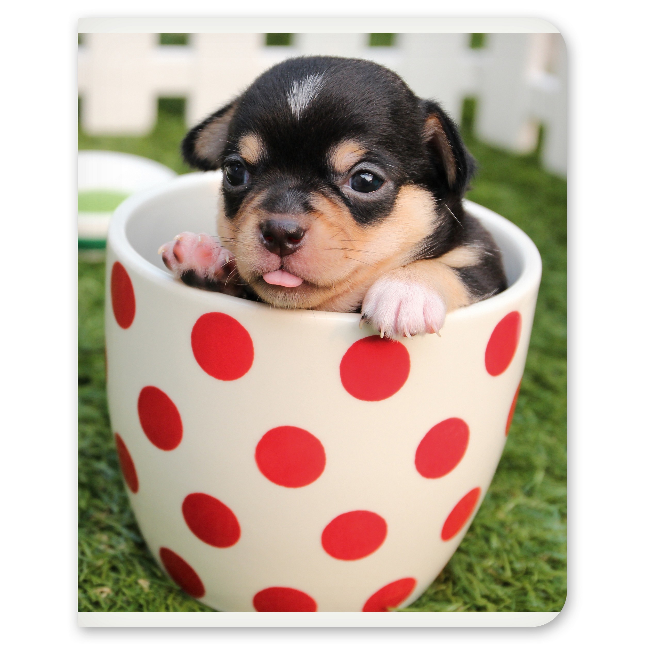 Общая тетрадь Полиграф Принт клетка 48 лист. в ассортименте - фото 8