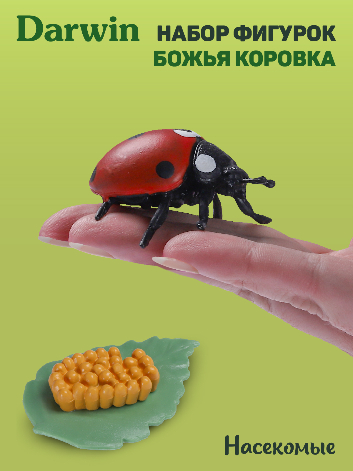 Игровой набор DARWIN Насекомые Божья коровка 4 шт - фото 2