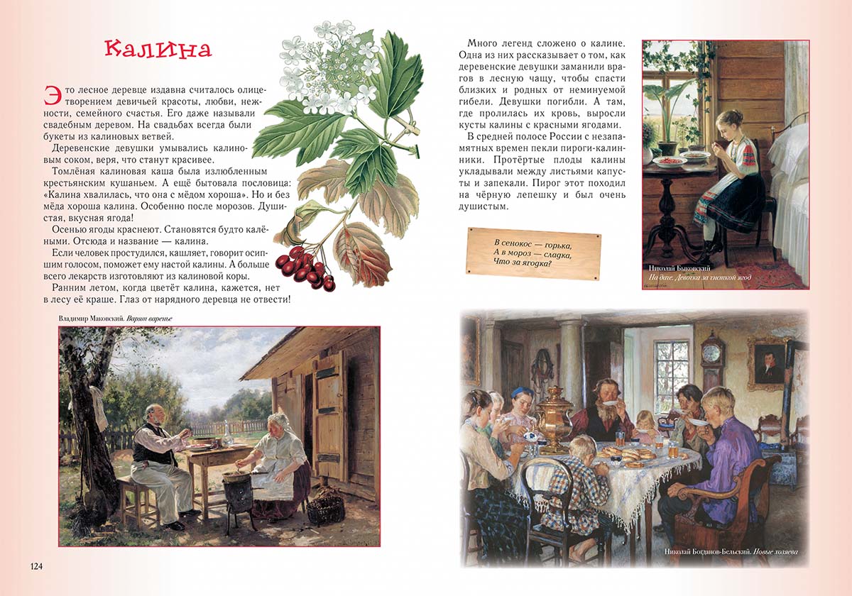 Книга Белый город Прогулки по лесу. - 2-е изд. - фото 9