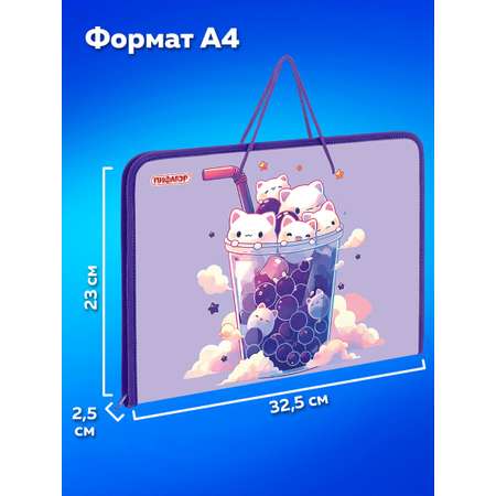 Папка для труда Пифагор А4