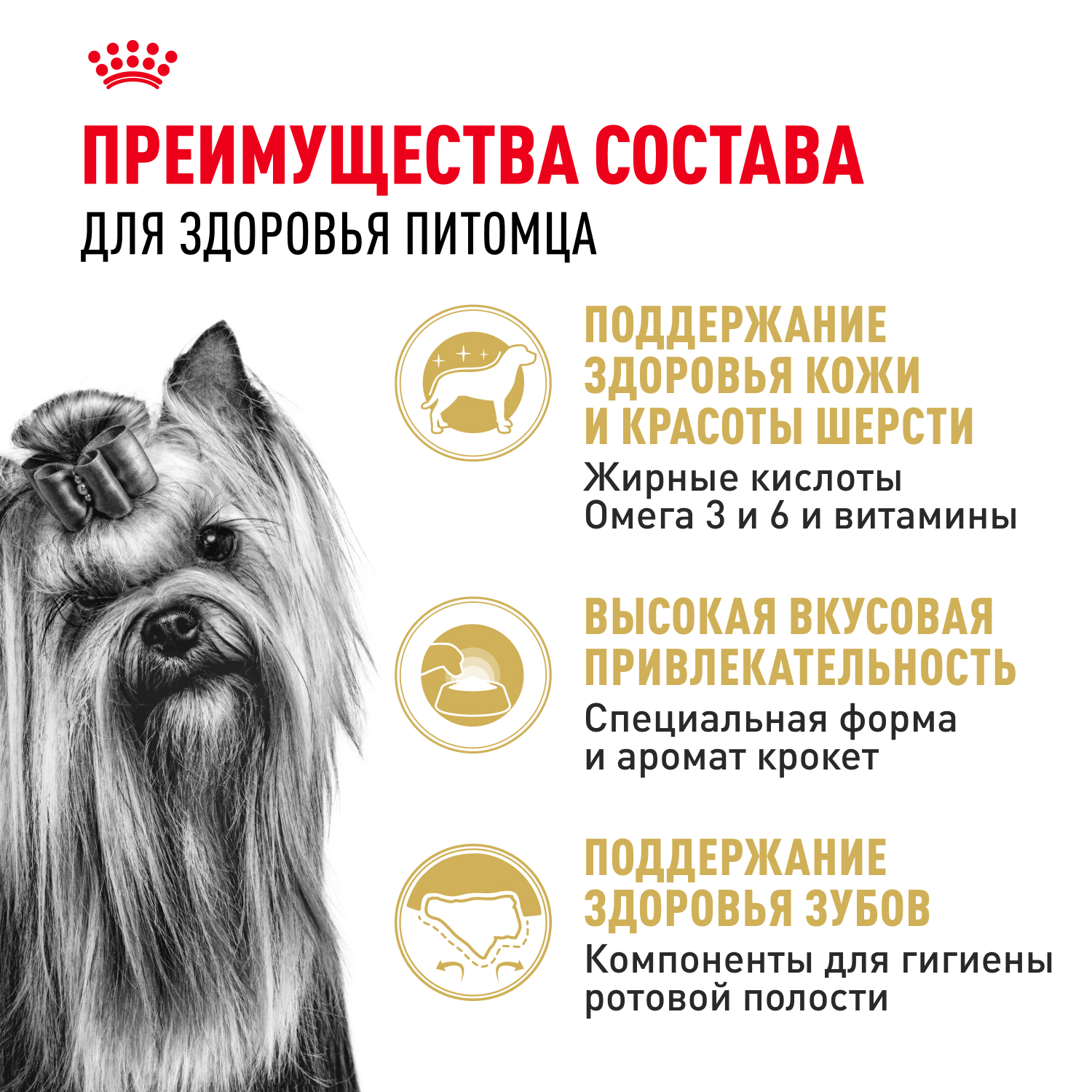 Корм для собак ROYAL CANIN породы йоркширский терьер 1.5кг - фото 4