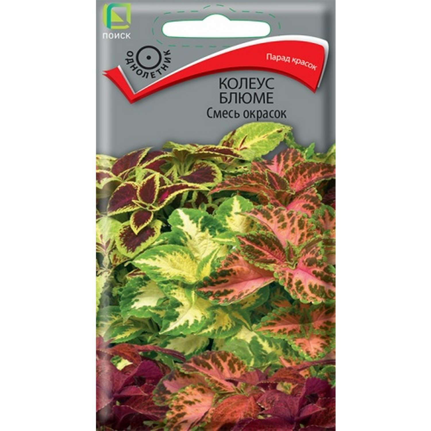 Колеус ПОИСК Блюме Смесь окрасок 0.1г - фото 1