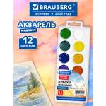 Краски акварель Brauberg 12 цв.