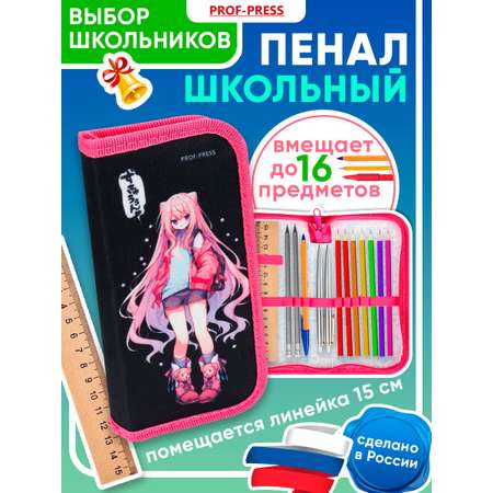 Пенал книжка Prof-Press