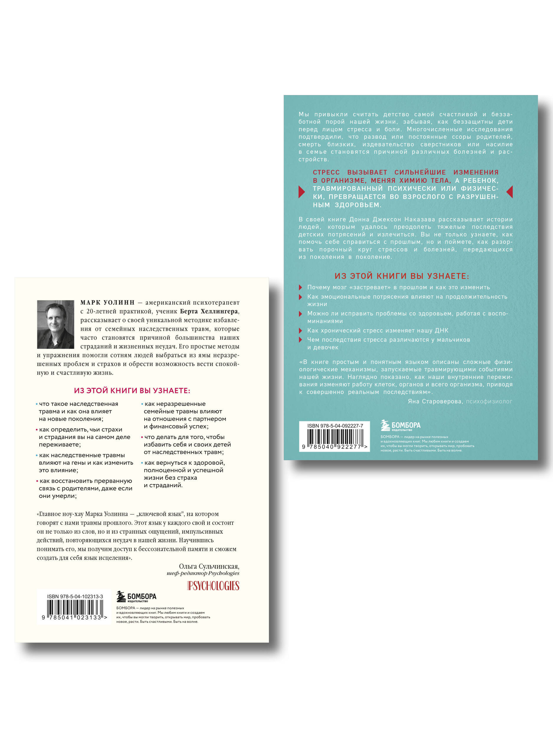 Комплект БОМБОРА Это началось не с тебя + Осколки детских травм - фото 3