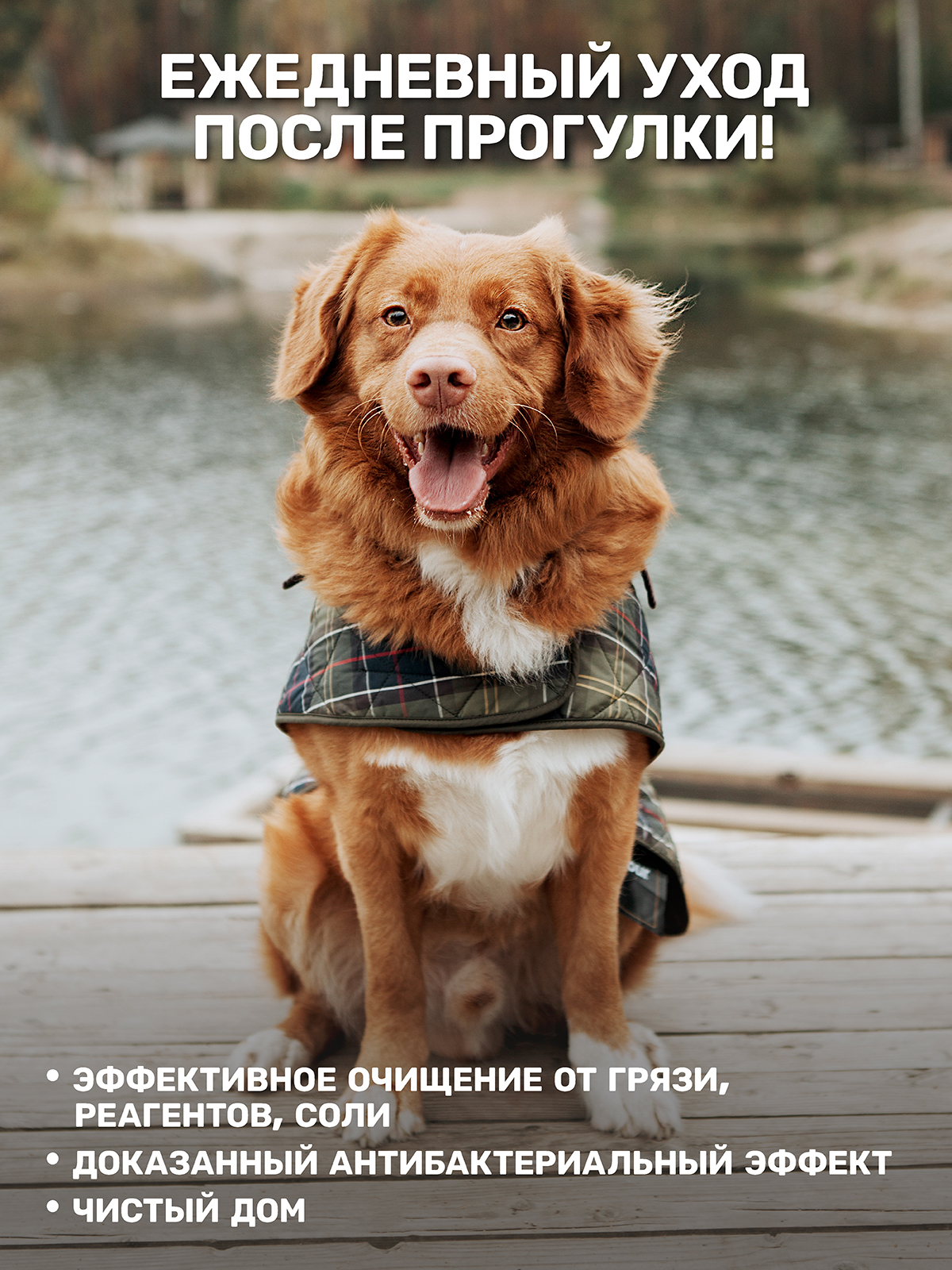 Гель-мыло для мытья лап животных ZOORIK защита и питание с экстрактом золотой сосны 1000 мл - фото 4