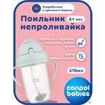 Поильник Canpol Babies 270 мл