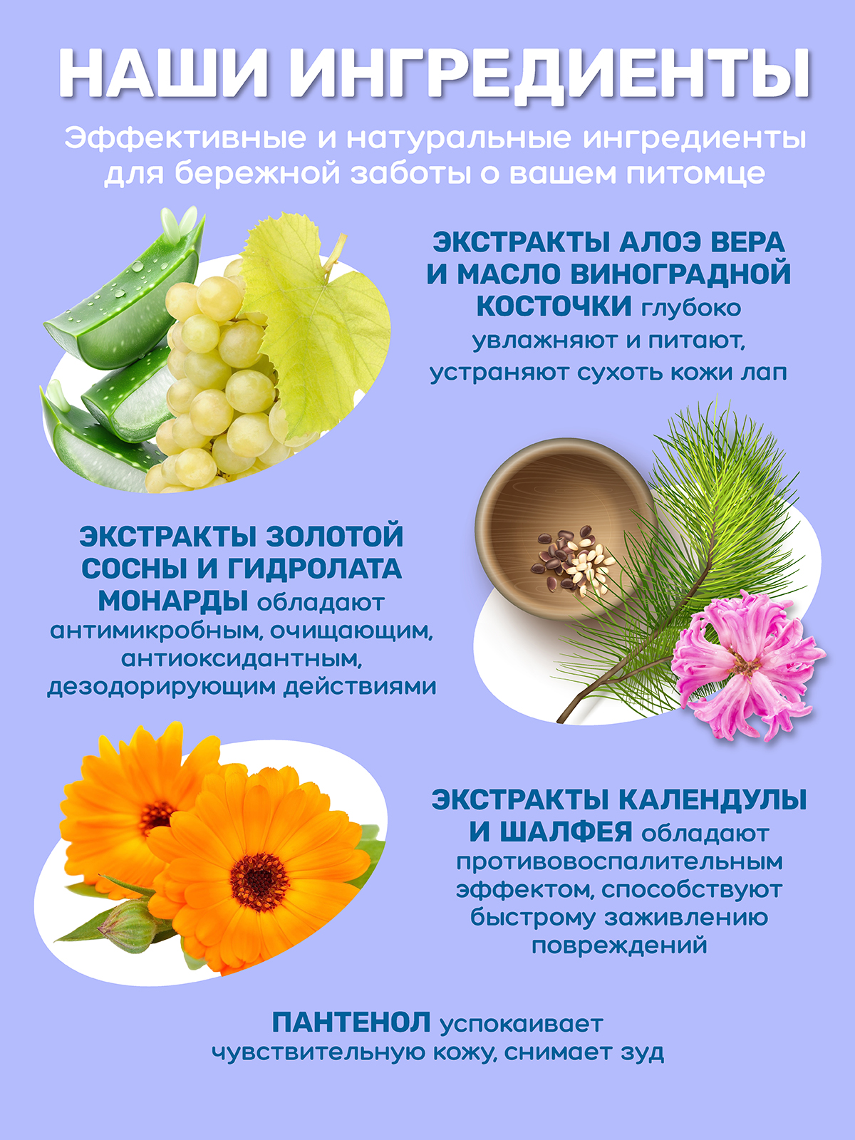 Спрей для лап защита и питание ZOORIK антибактериальный с экстрактом золотой сосны 250 мл - фото 7