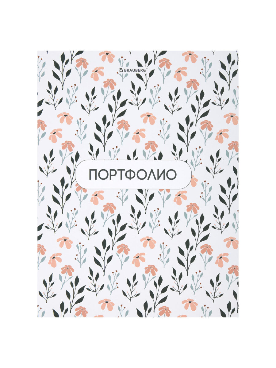 Портфолио школьника Brauberg папка А4 на кольцах 20 файлов для девочки и мальчика - фото 2
