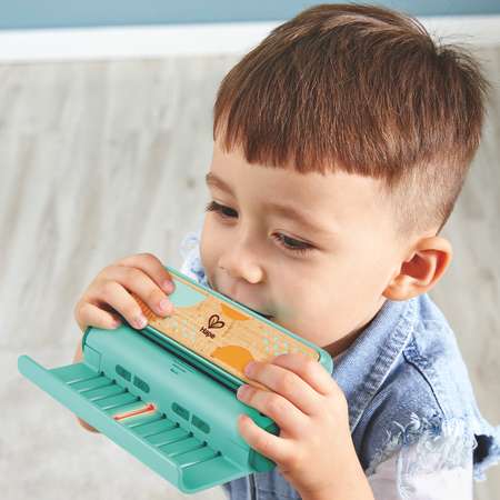 Игрушка музыкальная Hape Буду музыкантом