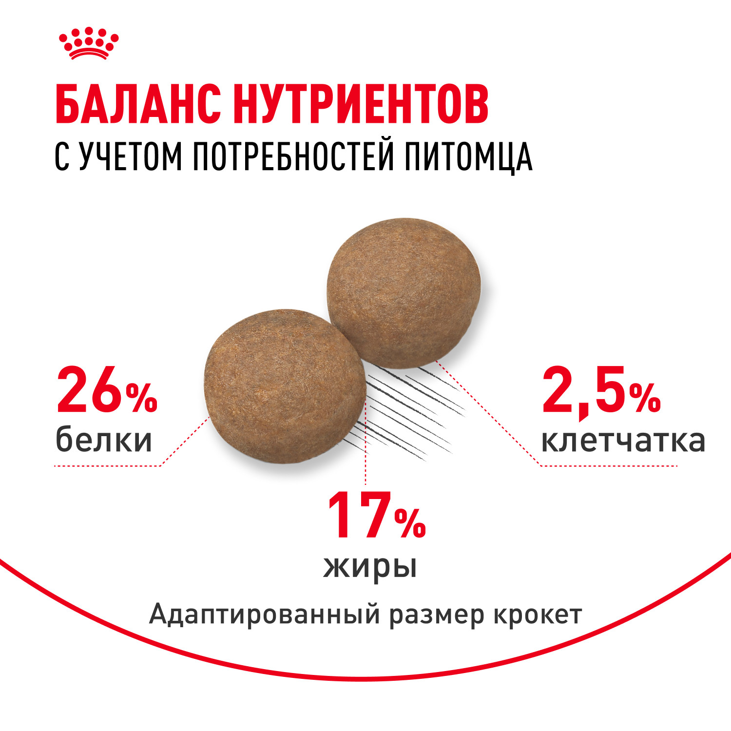 Корм для собак ROYAL CANIN Maxi Adult 5+ крупных пород 4кг - фото 4