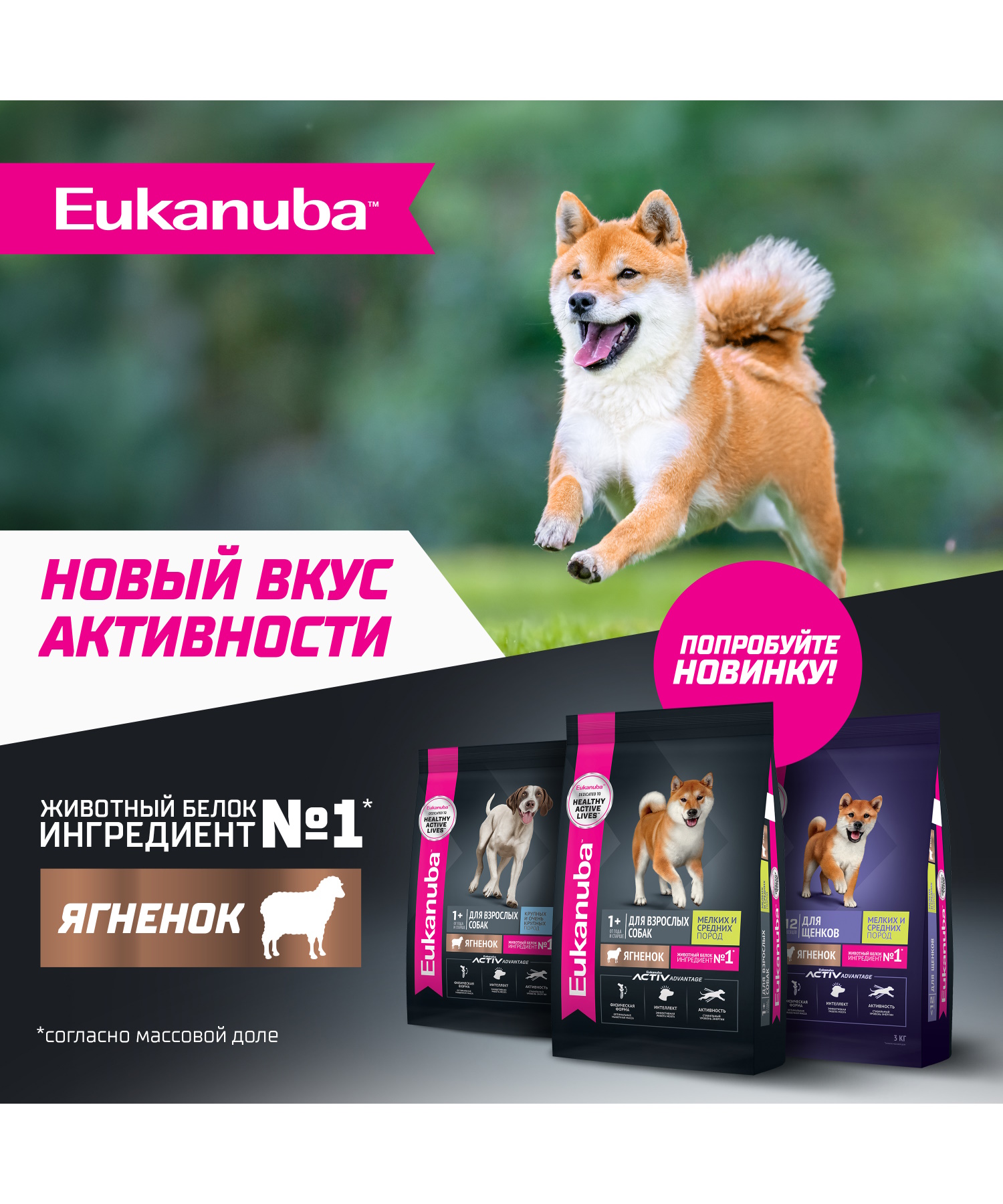 Корм для собак сухой для взрослых собак Eukanuba крупных и очень крупных пород старше 1 года с ягненком 12кг - фото 10