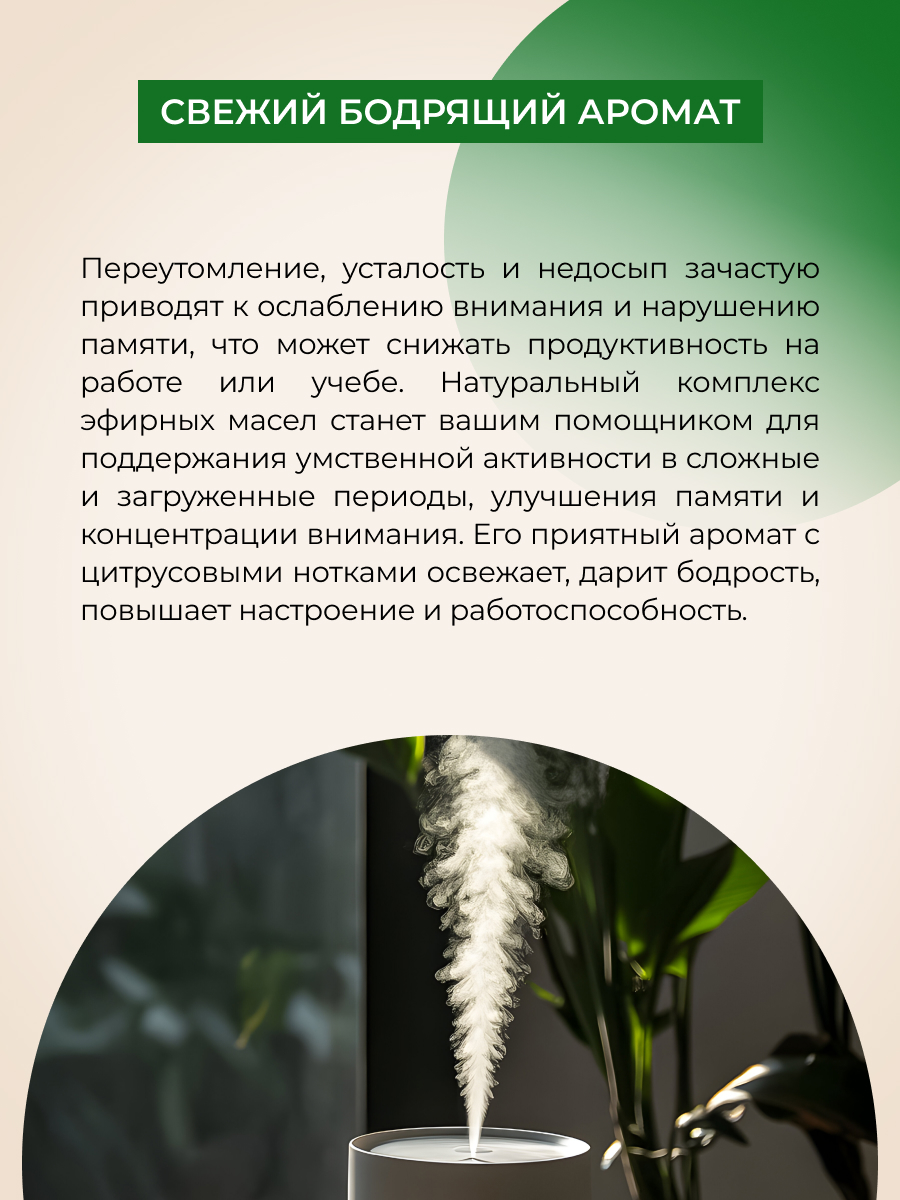 Комплекс эфирных масел Siberina натуральный «Концентрация внимание и память» 10 мл - фото 5