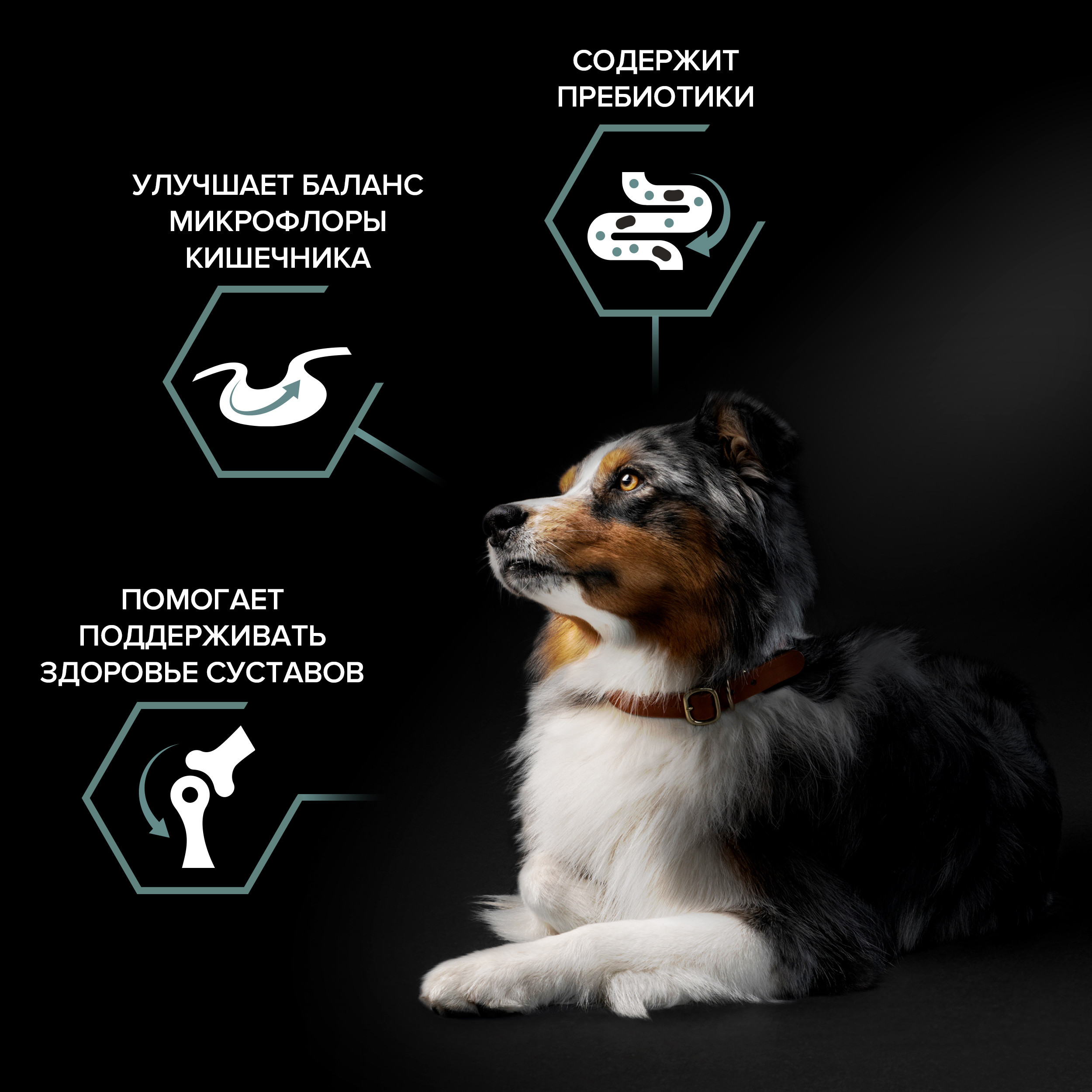 Корм для собак PRO PLAN для средних пород с чувствительным пищеварением с комплексом Optidigest ягненок с рисом 7кг - фото 3