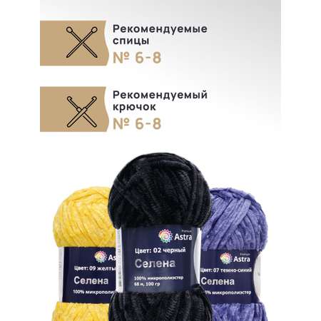 Пряжа для вязания Astra Premium селена мягкая микрополиэстер 100 гр 68 м 02 черный 3 мотка