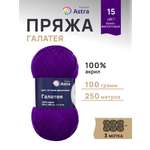 Пряжа Astra Premium Галатея акриловая 100 г 250 м 15 темно-фиолетовый 3 мотка