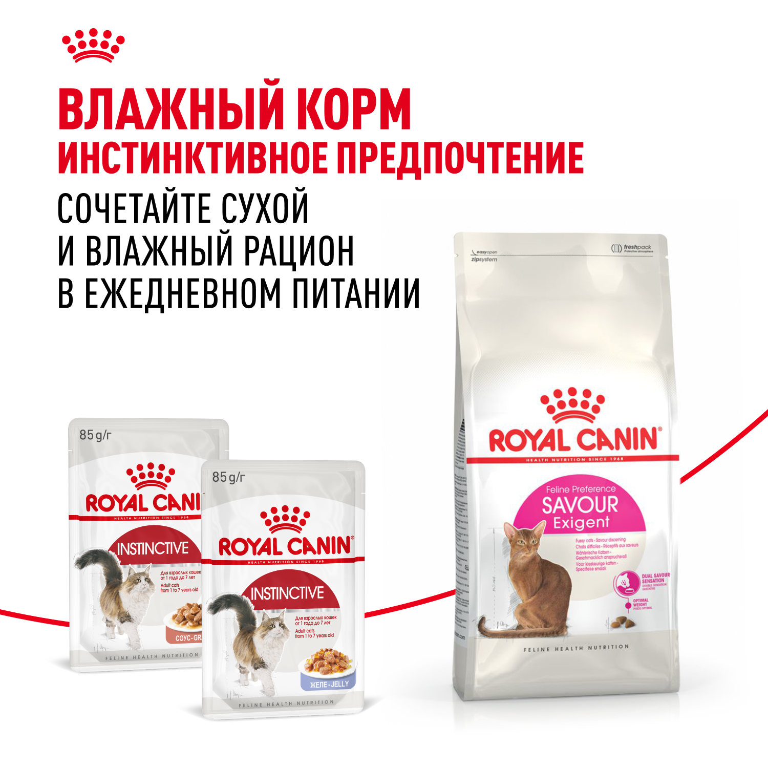Корм для кошек ROYAL CANIN Savour Exigent для привередливых взрослых кошек от 1года сухой 0.2кг - фото 8